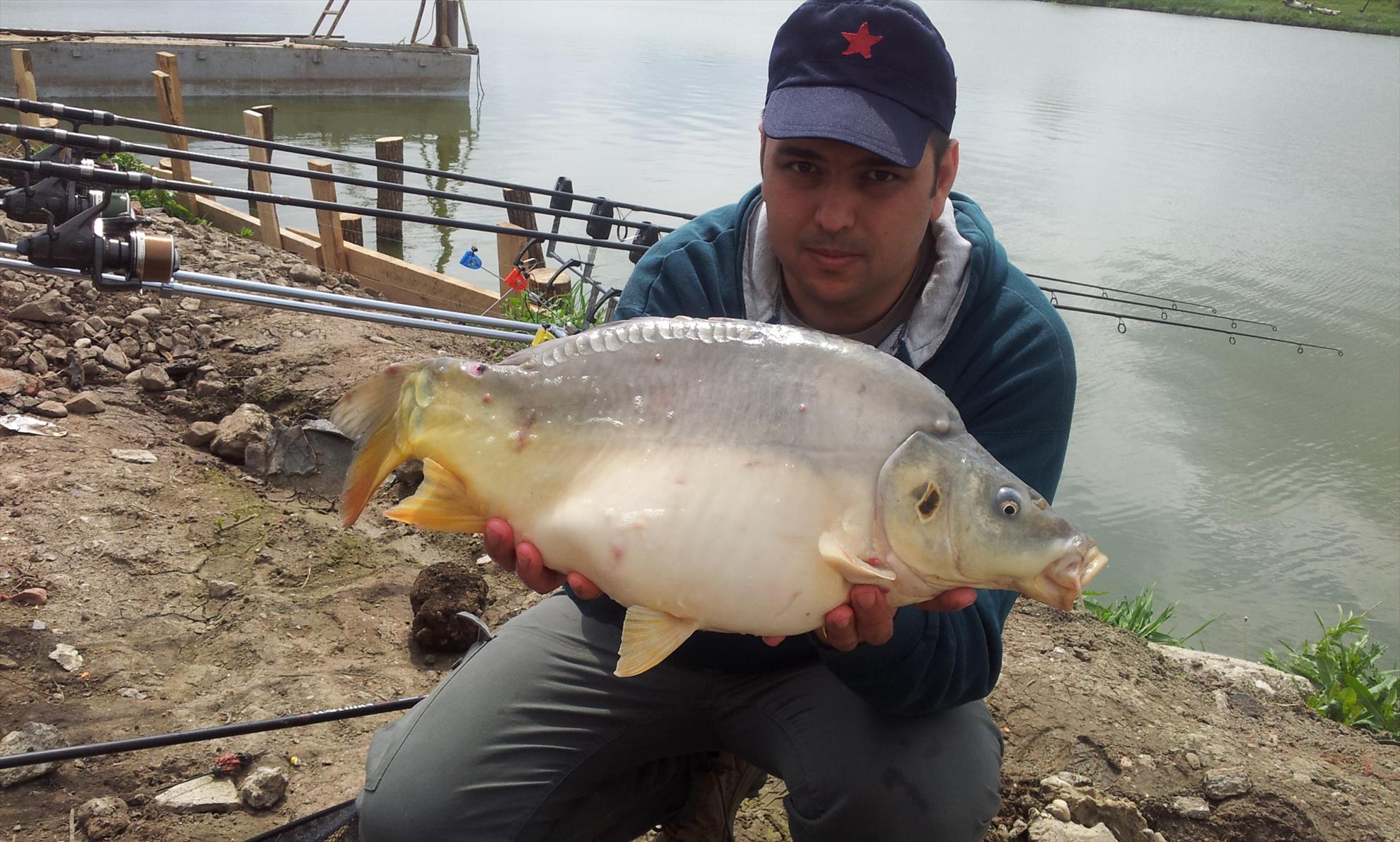 Hermes Peris 27 aprilie 2014 - 20140427141158.jpg